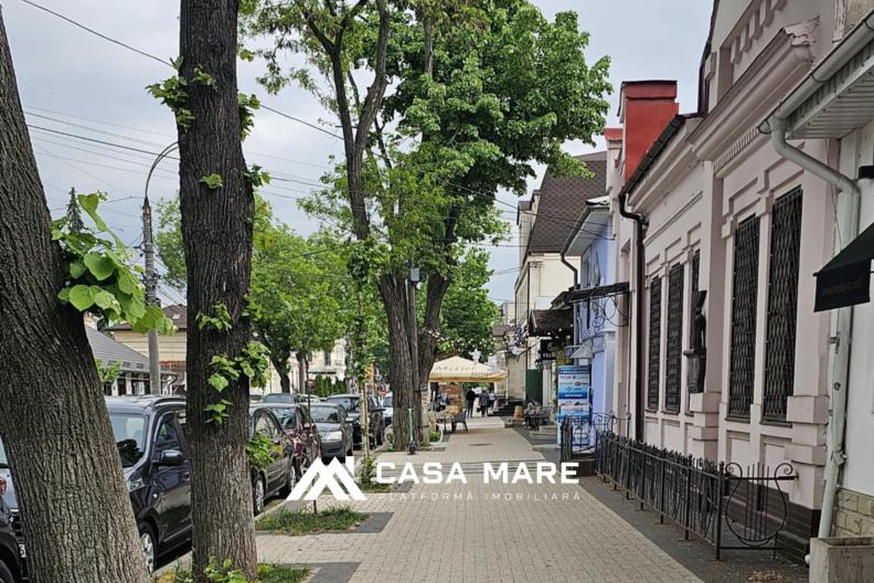 Centru, str. Alexei Șciusev 73