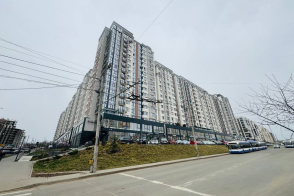 Чеканы, бул. Мирча чел Бэтрын