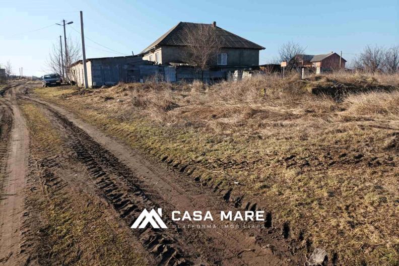 Новые Анены, c. Цынцарены  
