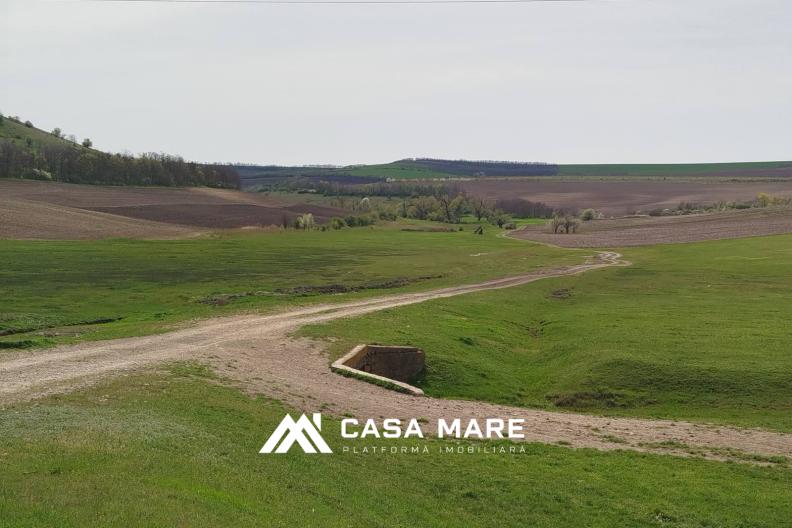 Ialoveni, sat. Cărbuna