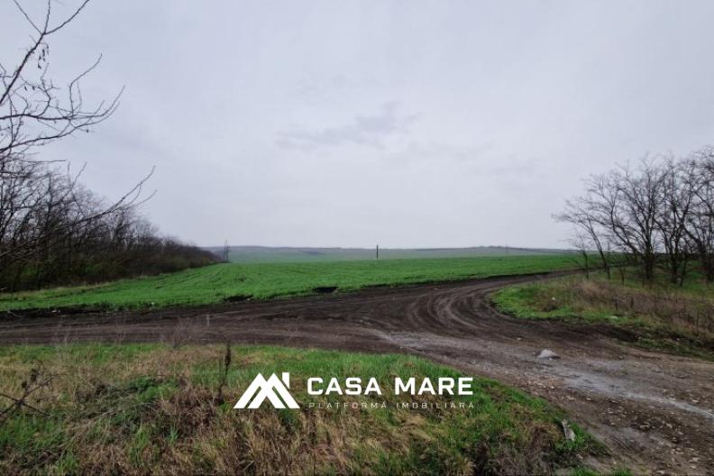 Băcioi, Traseul M3