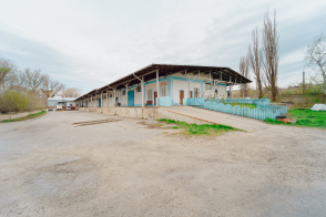 Ватра, ул. Плопилор