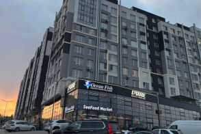 Чеканы, ул. Николая Милеску Спэтару 57