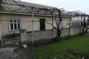 Новые Анены, с. Русены