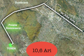 Дурлешты, Пояна Домняска