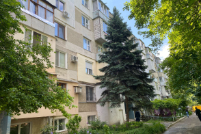 Рышкановка, ул. Флорилор 4/3