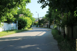 Sîngerei, Dobrogea Veche