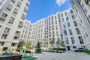 Рышкановка, ул. Андрей Дога