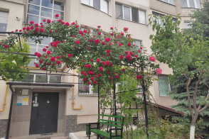 Poșta Veche, Socoleni 21/2