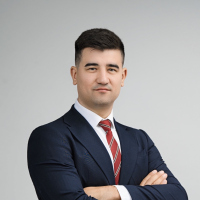 Ilie Șotropa